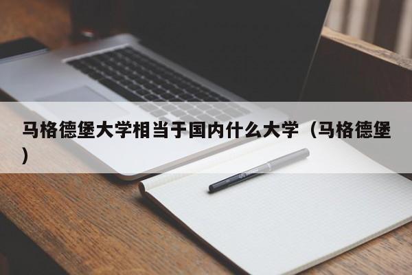 马格德堡大学相当于国内什么大学（马格德堡）