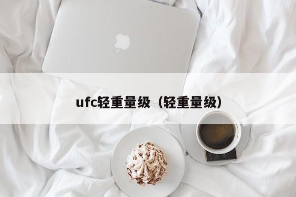 ufc轻重量级（轻重量级）