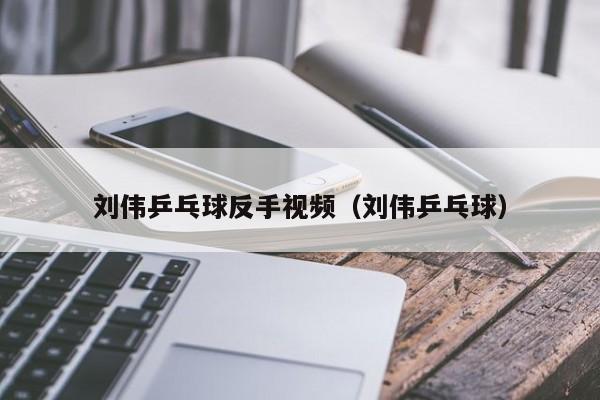 刘伟乒乓球反手视频（刘伟乒乓球）