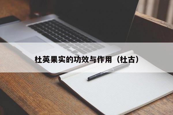 杜英果实的功效与作用（杜古）