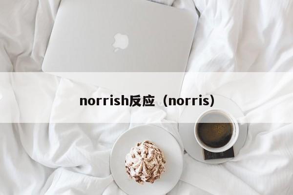 norrish反应（norris）