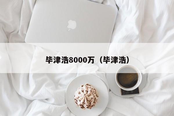 毕津浩8000万（毕津浩）