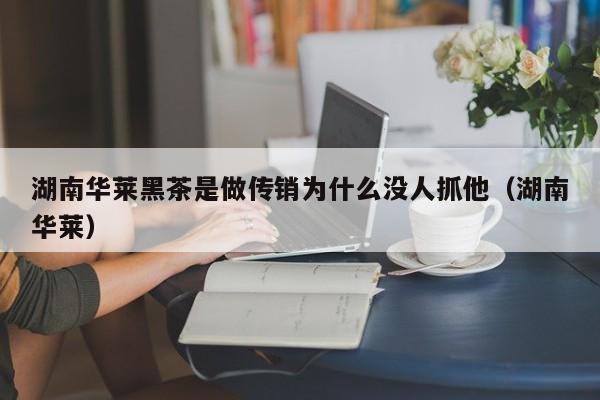 湖南华莱黑茶是做传销为什么没人抓他（湖南华莱）