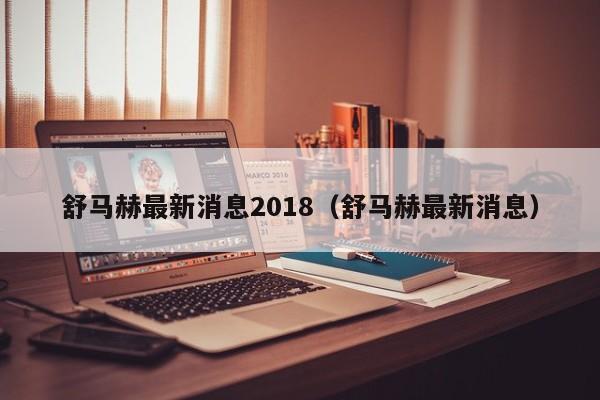 舒马赫最新消息2018（舒马赫最新消息）