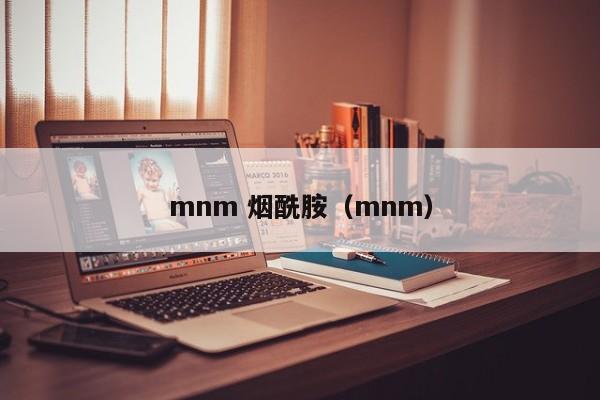 mnm 烟酰胺（mnm）