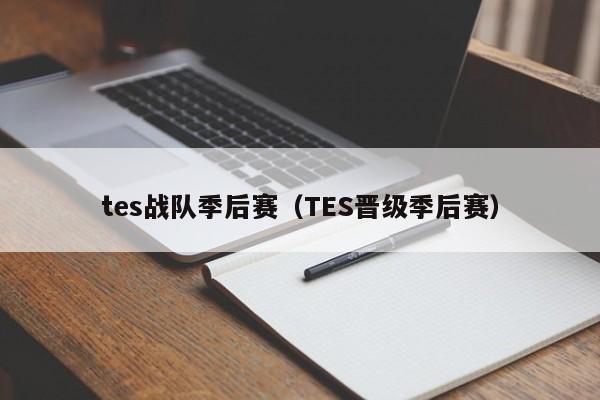 tes战队季后赛（TES晋级季后赛）