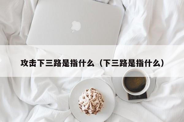 攻击下三路是指什么（下三路是指什么）