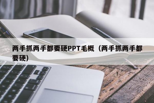 两手抓两手都要硬PPT毛概（两手抓两手都要硬）