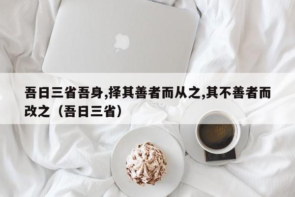 吾日三省吾身,择其善者而从之,其不善者而改之（吾日三省）