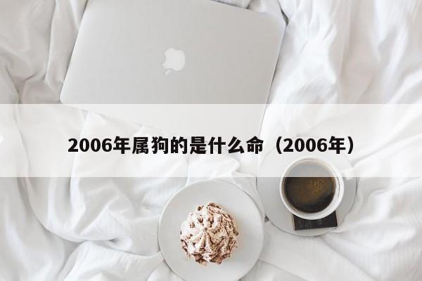 2006年属狗的是什么命（2006年）