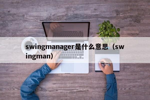 swingmanager是什么意思（swingman）