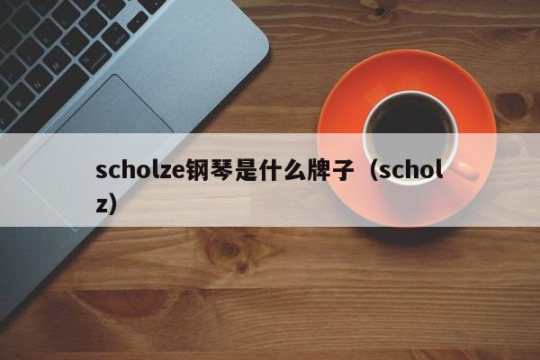 scholze钢琴是什么牌子（scholz）