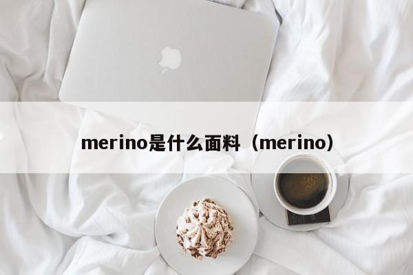 merino是什么面料（merino）