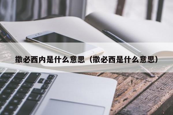 撒必西内是什么意思（撒必西是什么意思）