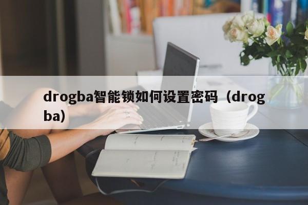 drogba智能锁如何设置密码（drogba）