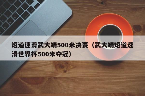 短道速滑武大靖500米决赛（武大靖短道速滑世界杯500米夺冠）