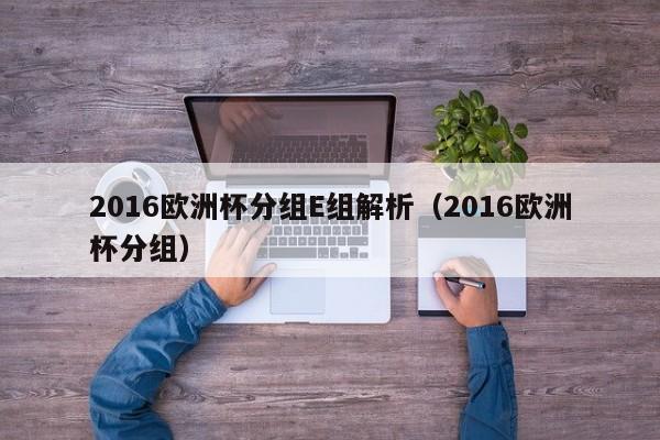 2016欧洲杯分组E组解析（2016欧洲杯分组）